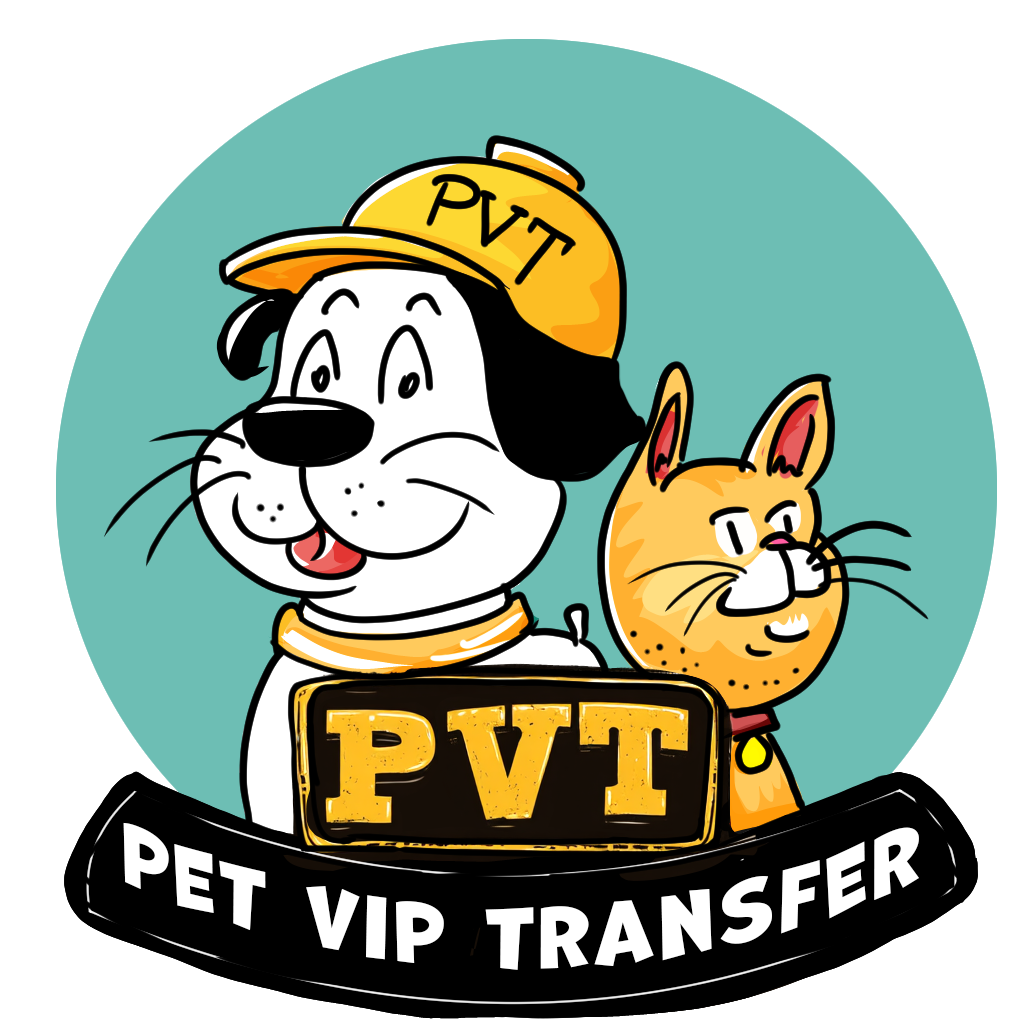 PetVIPtransfer